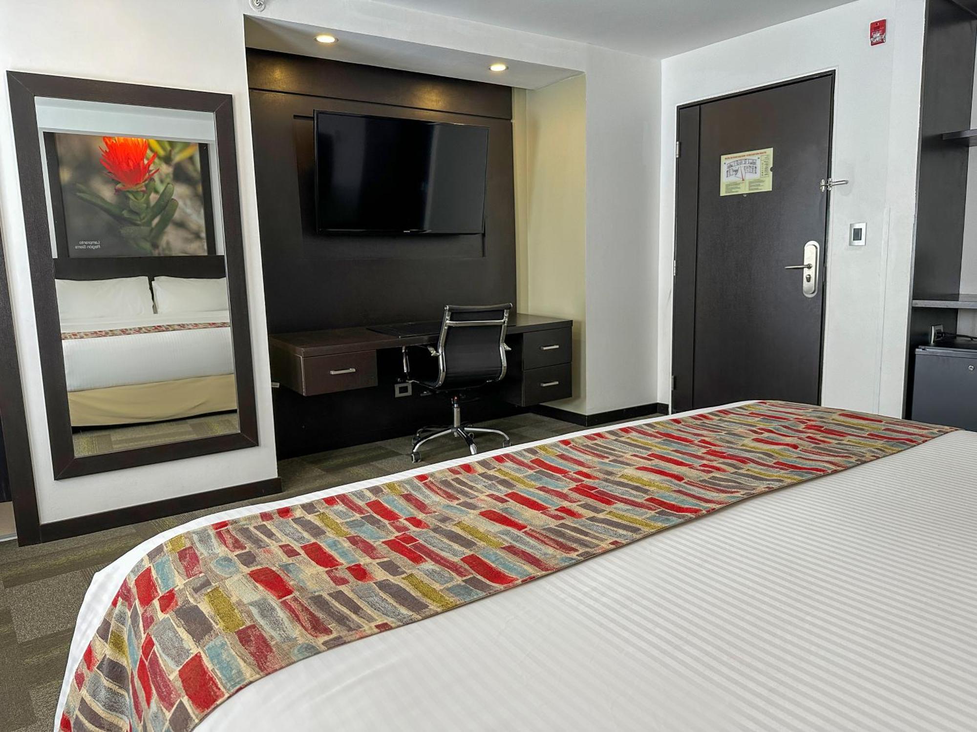 فندق Wyndham Quito Airport Puembo المظهر الخارجي الصورة A typical room at the hotel